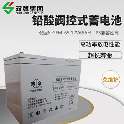 Shoto/6-GFM-65 Batteria al piombo acido 12V65AH per la comunicazione e lo stoccaggio dell'energia solare